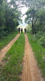 People walking on road amidst plants against sky