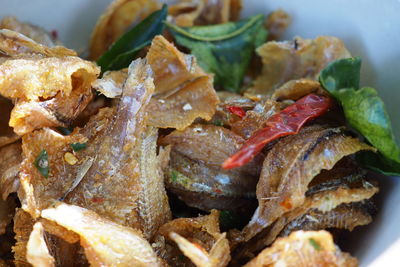 Close-up of meal served in plate