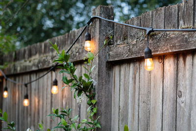 Illuminated light bulb by wooden fence