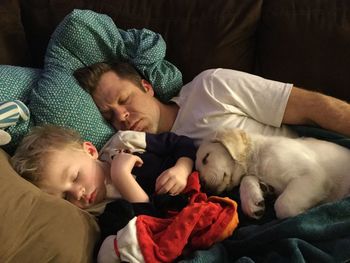 High angle view of father with son and dog sleeping on bed