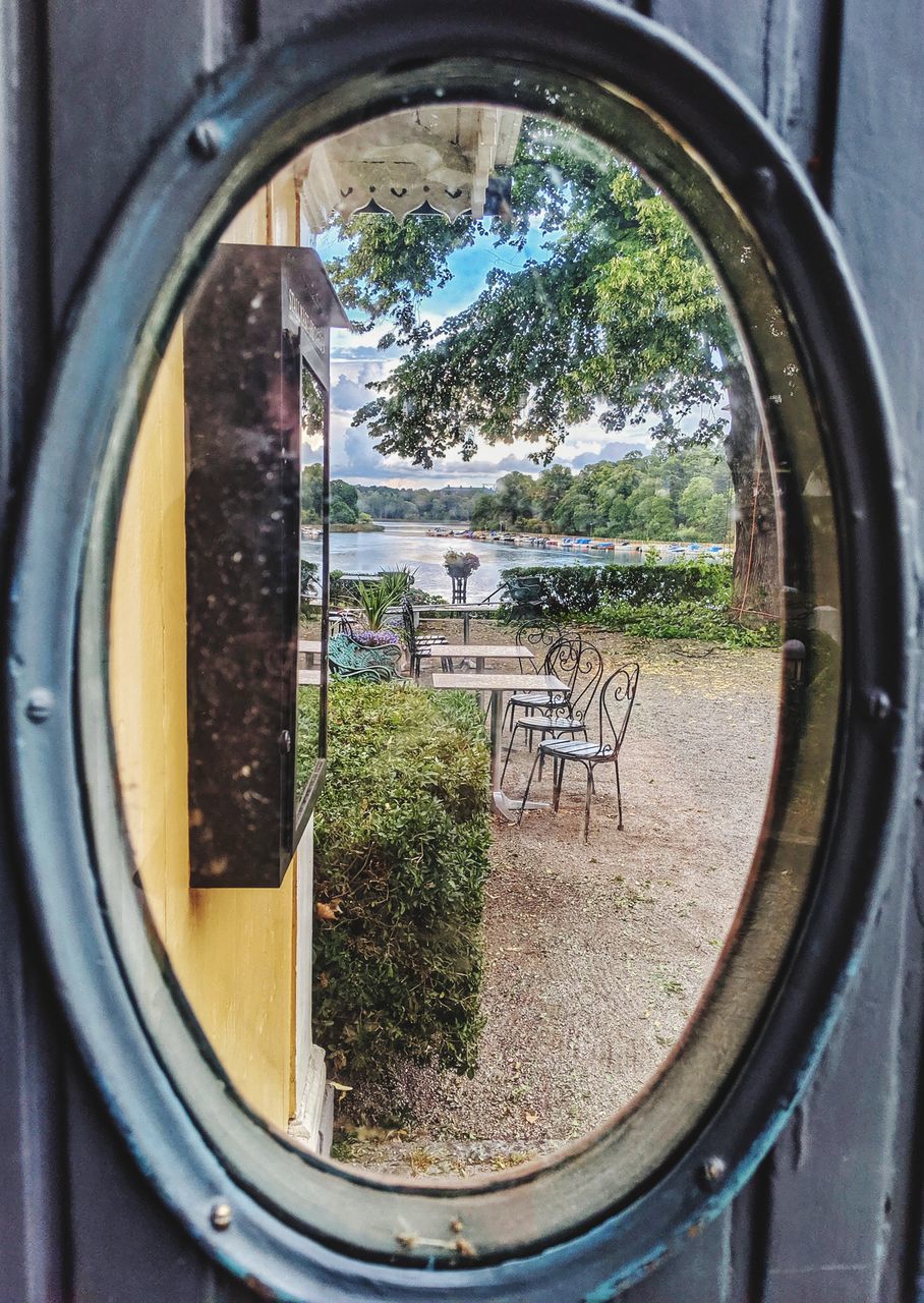 TREES SEEN THROUGH WINDOW