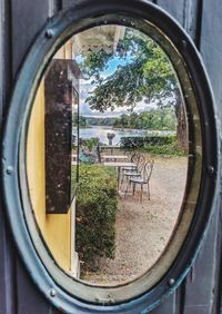 Reflection of trees on glass window