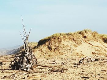 Sand dunes against sky