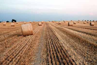 Hay bales on field against sky