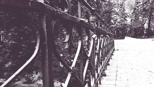 View of bridge in forest