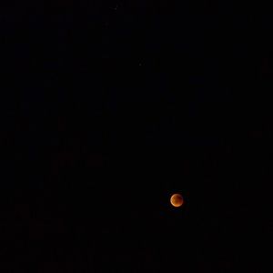 Low angle view of moon against clear sky at night