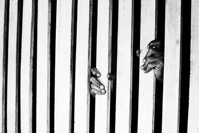 Close-up of human hands holding fence