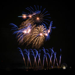 Low angle view of fireworks exploding at night