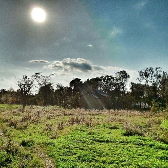 grass, sky, landscape, tranquil scene, tranquility, field, grassy, scenics, beauty in nature, nature, cloud - sky, sunlight, sun, sunbeam, tree, cloud, non-urban scene, green color, mountain, growth