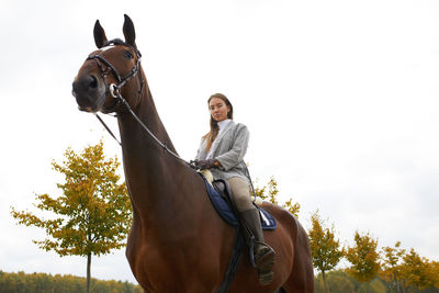 Horse standing against sky