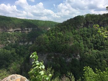 Scenic view of trees and mountains against sky