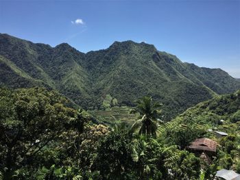 Scenic view of agricultural landscape against sky