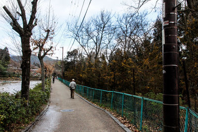 People walking on footpath amidst trees against sky