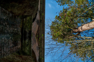 Low angle view of abandoned building by tree against clear sky