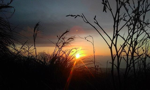 sunset, silhouette, sun, sky, tranquility, beauty in nature, tranquil scene, scenics, nature, plant, growth, orange color, idyllic, bare tree, cloud - sky, outdoors, dramatic sky, field, sunlight, cloud