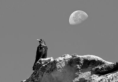 Low angle view of woman on mountain