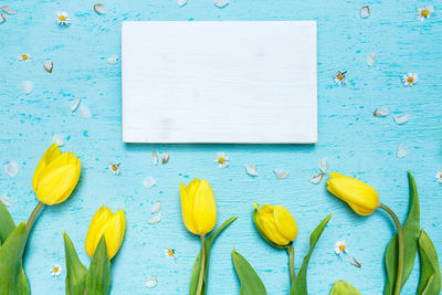 High angle view of white and blue paper on table