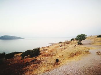 Scenic view of sea against clear sky