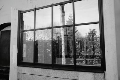 Trees against sky seen through glass window