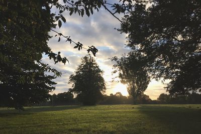 Scenic view of grassy field against cloudy sky