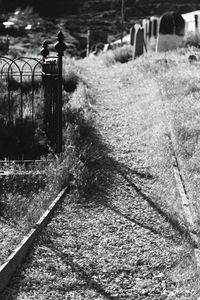 Railroad track