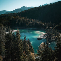 Scenic view of lake and trees against sky