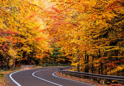 Road amidst trees against sky during autumn