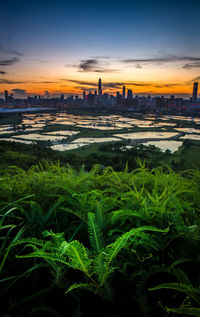 Scenic view of sea against sky during sunset
