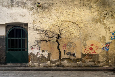 Graffiti on wall of old building