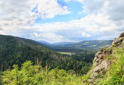 Mountain landscape in summer. view from hill nosal in tatra mountains, poland