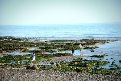 Scenic view of sea against clear sky