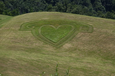 High angle view of heart shape on field