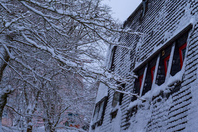 Low angle view of bare tree and building during winter