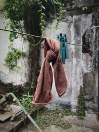 Clothes drying on clothesline