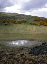 Scenic view of landscape against cloudy sky