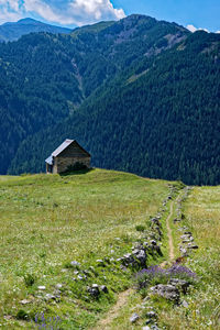 Scenic view of landscape and mountains