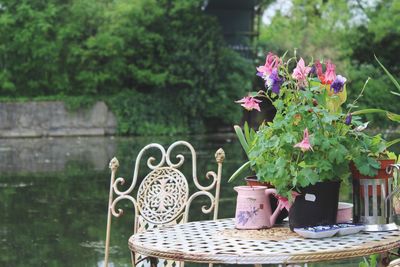 Close-up of flowers  on table by water