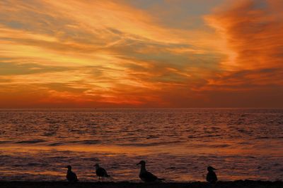 Scenic view of sea against orange sky