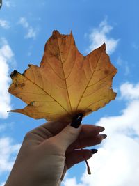 Close-up of hand holding maple leaf against sky