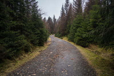 Road amidst trees in forest against sky