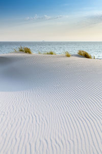 Scenic view of sand dune