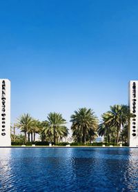 Palm trees by swimming pool against clear blue sky