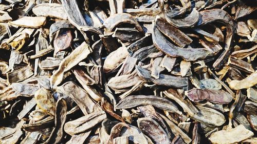 Full frame shot of dried leaves