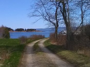 Dirt road amidst bare trees against sky