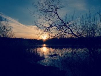 Silhouette bare tree by lake against sky during sunset