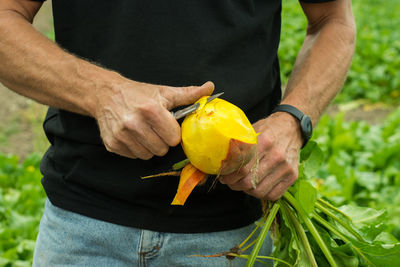 Midsection of man peeling fruit