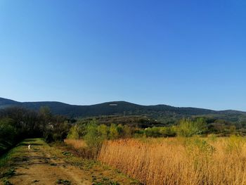 Scenic view of landscape against clear blue sky