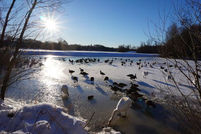 Scenic view of frozen lake against sky