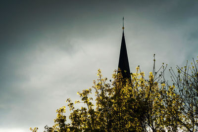 Low angle view of tree against sky