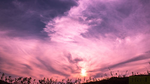 Low angle view of silhouette trees against dramatic sky